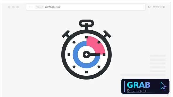 Perfmatters v2.6.2