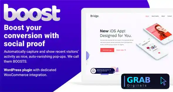 The Boost Plugin v2.0.3