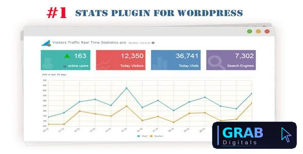 Visitor Traffic Real Time Statistics Pro 11.9